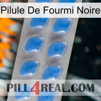 Black Ant Pill 22